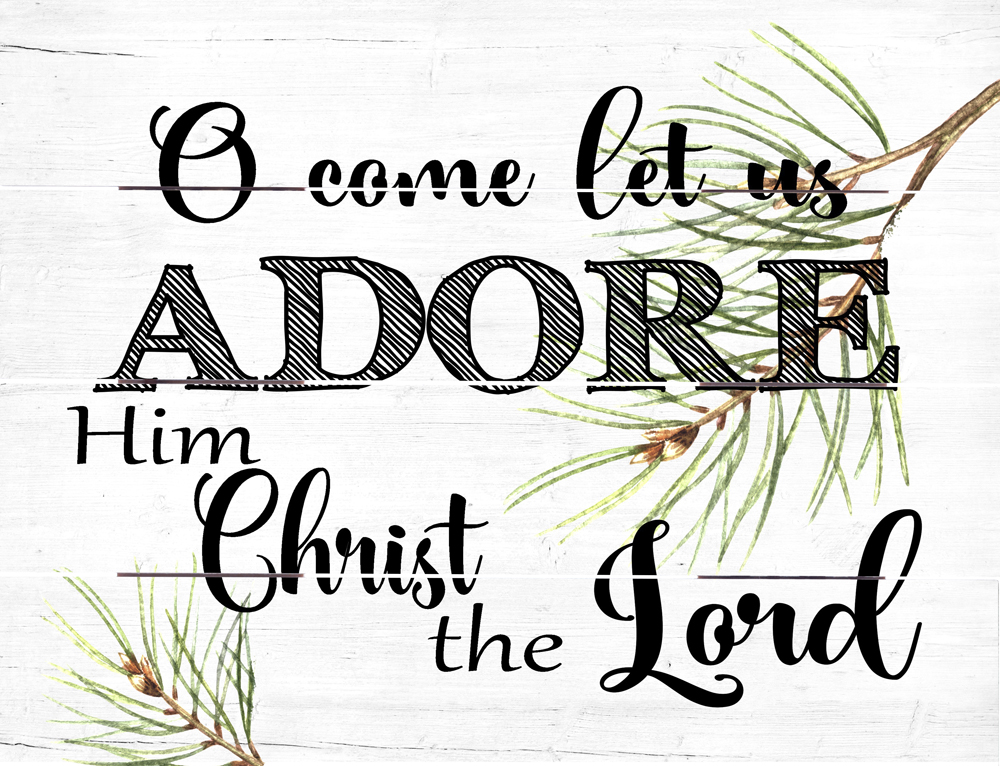 Image result for o come let us adore him christ the lord
